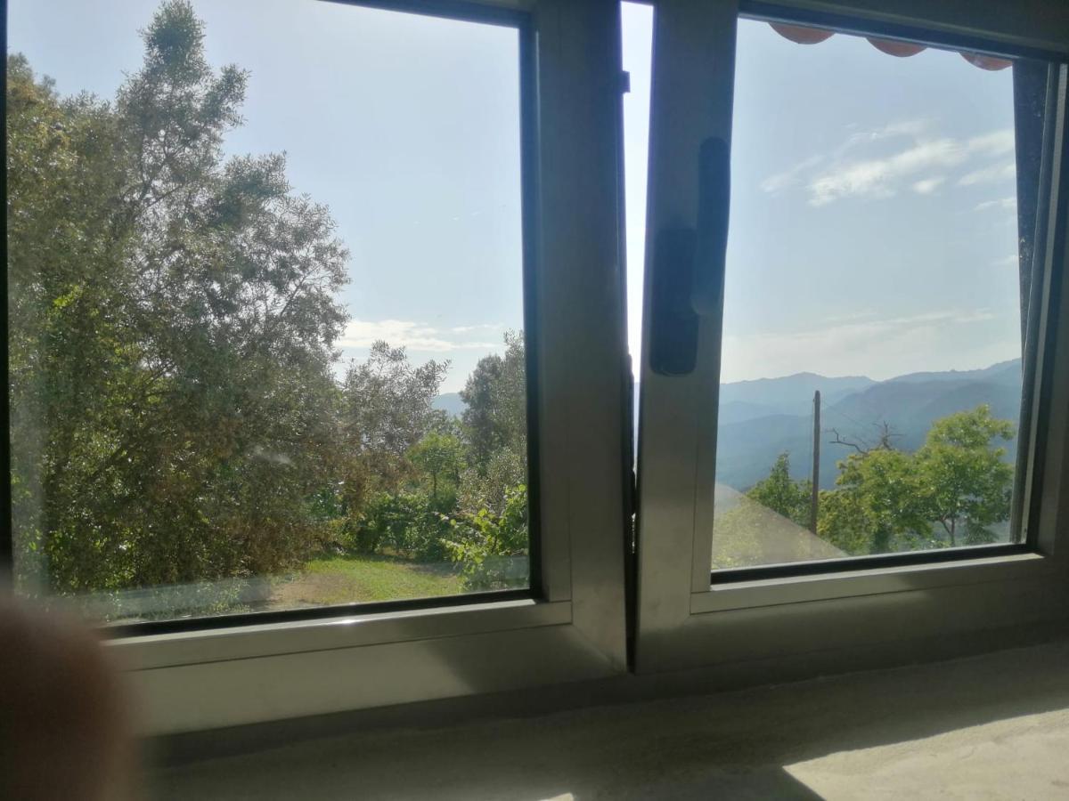 Casa Da Choqueira Villa Vieira do Minho Eksteriør bilde